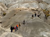 La Leona Petrified Forest / Expedition