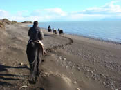 Horse Riding